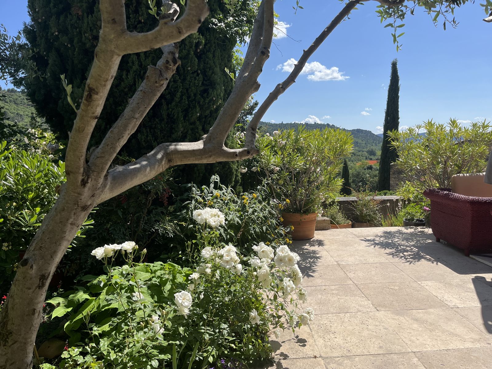 Le jardin fleuri qui borde la terrasse, face aux collines